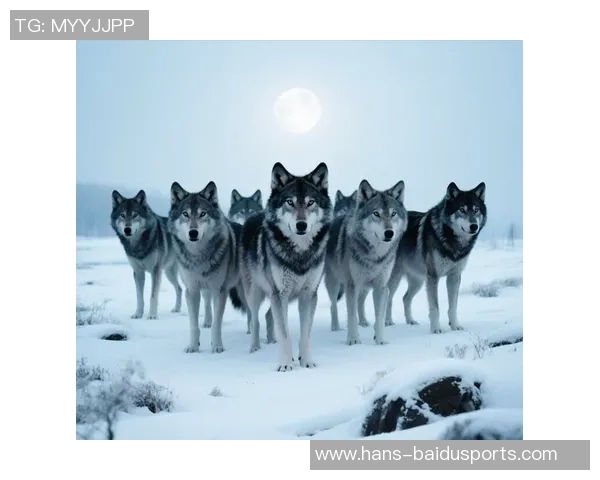 2019.01.11｜亚洲杯狼群扩大包围圈——体育竞技中的战略奇谋